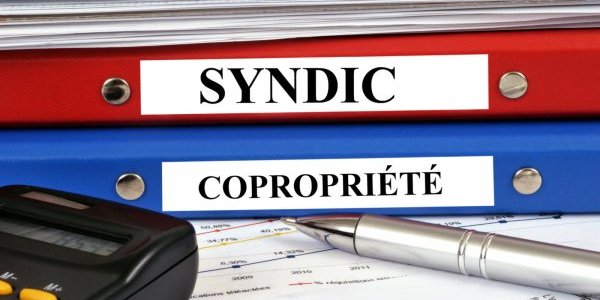 Copropriété Conseil Syndical Et Syndic Comment ça Fonctionne En Vrai Un Blog Pour L 1411